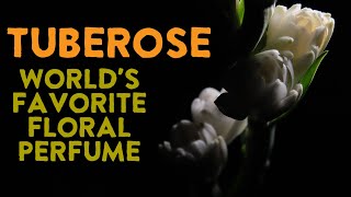 Tuberose The Worlds Most Fragrant Flower Used In Perfumery [upl. by Ahsenac221]