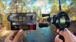 Fall Jointed Swimbait Fishing Cold Water Reaction Bait [upl. by Ylebmik]