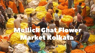 Mullick Ghat Flower Market 💐🌹😱 Kolkata Flower Market Asia Biggest Flower Market flowers flower [upl. by Aisul]