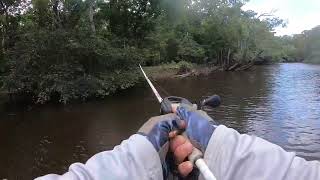 Bass fishing tournament on the Apalachicola River on July 08 2023 [upl. by Tabbatha]