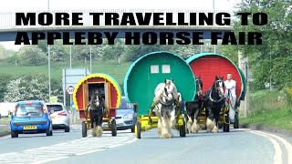 More Travelling To Appleby Horse Fair [upl. by Belding601]