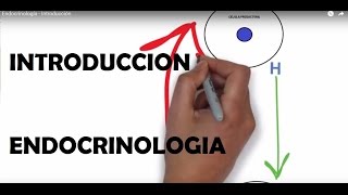 Endocrinología  Introducción [upl. by Ahsitan]