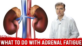 What To Do If You Have Adrenal Fatigue – Dr Berg Shows Adrenal Fatigue Exercise [upl. by Zacharie957]