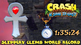 Slippery Climb 13524 Former World Record Crash Bandicoot NST PC [upl. by Sheree]