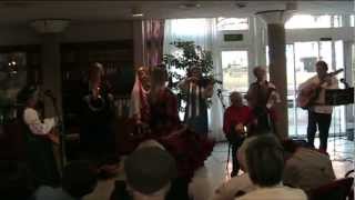 Musique chant russe tzigane quotshalionkaquot [upl. by Adihsar897]