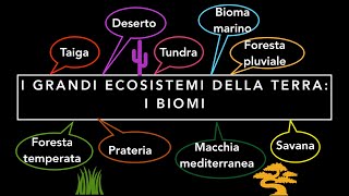 I biomi  Flora e fauna dei grandi ecosistemi terrestri [upl. by Allehcim812]