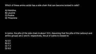 How to calculate Isoelectric point of Amino Acids [upl. by Igiul]