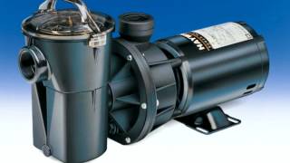 Where to buy Hayward Pool Pumps  Cheapest Price [upl. by Nilkcaj]