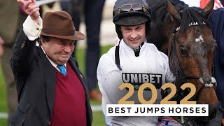 TOP 10 JUMPS HORSES OF 2022 [upl. by Yacano]