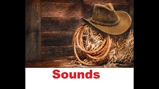 Western Sound Effects All Sounds [upl. by Sucram]