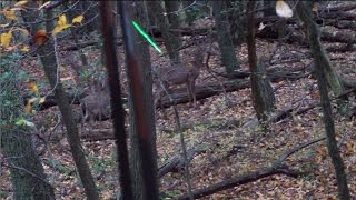 DUCKED RIGHT INTO IT  PA Public Land Archery Hunting Self Filmed [upl. by Rego]