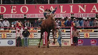 Bareback Highlights  Salinas Rodeo [upl. by Skerl]