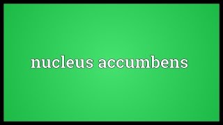 Nucleus accumbens Meaning [upl. by Onivag965]