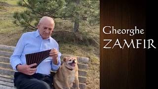 Gheorghe Zamfir live in his garden [upl. by Anaeirb581]