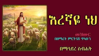 Mirtnesh Tilahun New mezmur Eregnaye neh may 28 2015 [upl. by Pammie]