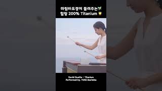 EDM을 힐링송으로 바꾸는 정석🎵 마림바 요정 Yuni Marimba가 연주하는 ‘Titanium’ [upl. by Rosa]