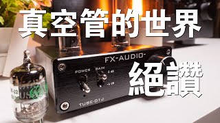 絕讚！歡迎來到真空管世界 FXAUDIOTUBE01J真空管前級 [upl. by Pederson]