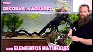 Consejos para decorar el acuario con elementos naturales [upl. by Tselec]