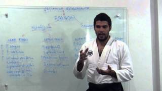 Ogawa Ryu Science Behind the Scenes IV  Part 3  3 [upl. by Nenad657]