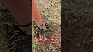 Enjoying the company metaldetecting family viralvideo [upl. by Bridgette]