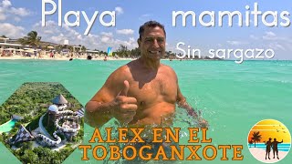 Playa Mamitas sin sargazoXplor Alex vuelve a disfrutar del Toboganxote 23 de abril [upl. by Jerrold724]