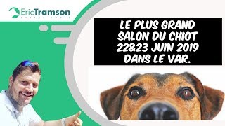 Salon du chiot et de chien le 22 et 23 Juin 2019 dans le Var [upl. by Kitchen]