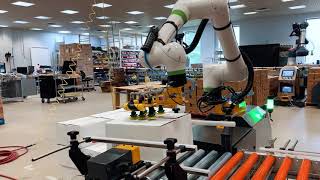 FANUC CRX Collaborative Robot  FANUC Cobot  PalletizCRX [upl. by Rotman]