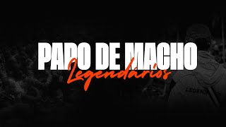 PAPO DE MACHO [upl. by Eerrehc858]