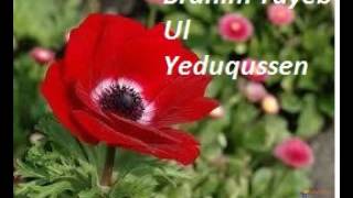 BRAHIM TAYEB  Ul yeduqussen [upl. by Shem25]