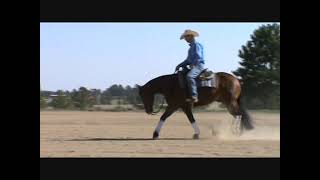 Stunning Reining Horse  Intentional 2017 AQHA bay gelding by Gunnatrashya [upl. by Ecnerat]