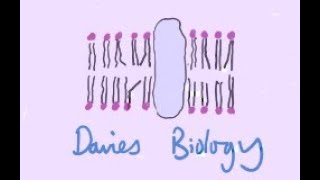 82 Tumour Suppressor Genes [upl. by Atsirhcal165]