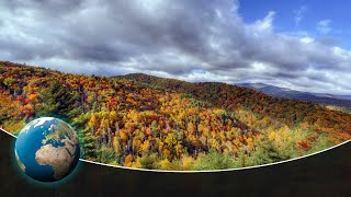 Great Smoky Mountains  Staggering Biodiversity in Americas most visited National Park [upl. by Auberon]