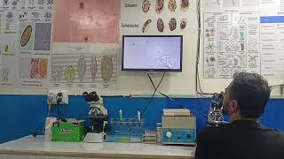 Microscopic examination of samples on Advanced Microscopy by Dr Muhammad UMER PhD Microbiology [upl. by Arret36]