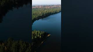 Rėkyvos ežero pietinė pakrantė The southern coast of Lake Rekyva SHORTs drone lake [upl. by Kluge]