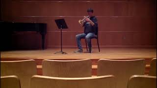 Strauss Til Eulenspiegel  3rd Trumpet Excerpt [upl. by Saloma955]