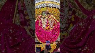 Sandhya Aarti Darshan at Ladli lal ju Barsana [upl. by Ranitta]