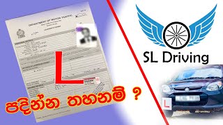 L Permit වල ඇත්ත කතාව  Driving School [upl. by Nedak]