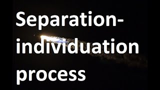 Separationindividuation process [upl. by Aderfla582]