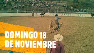 JARIPEO RANCHERO ACUITZERAMO 20 DE NOVIEMBRE 2019 [upl. by Otrebron]