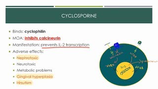 Immunosuppressants 2019 [upl. by Aihc]