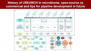 iMeta  USEARCH 12 Opensource software for sequencing analysis in bioinformatics and microbiome [upl. by Geno]