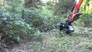 Defender Brush Mulcher by RockHound Attachments on Kubota Excavator [upl. by Gerstein793]