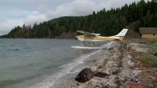 SmartPilot  Float Plane  Beaching [upl. by Dumah]