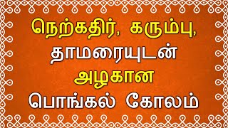 நெற்கதிர் கரும்பு பொங்கல் கோலம்pongal special kolampongal kolam 2024pongal pot kolamபானை கோலம் [upl. by Asillam]