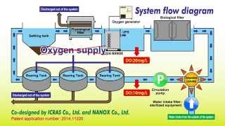 A closed recirculating aquaculture system CRAS using oxygenated ultra fine bubbles [upl. by Erland]