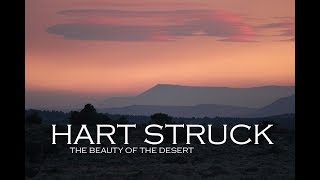 quotHart Struckquot the beauty of the desert [upl. by Arvind]