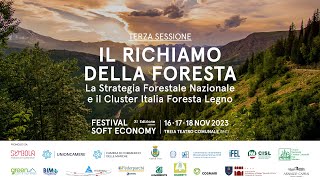 Terza Sessione  IL RICHIAMO DELLA FORESTA [upl. by Martelle389]