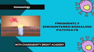 Frequently Encountered Signaling Pathways [upl. by Iroak]