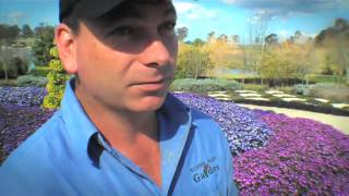 Senetti at Hunter Valley Gardens [upl. by Joses]