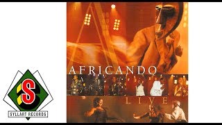 Africando  Apollo feat Sekouba Bambino Live [upl. by Braswell]